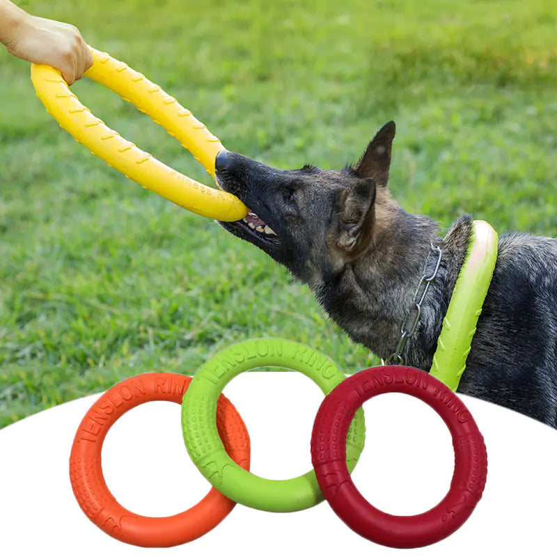 Jouet flottant interactif pour chien - Anneau d'entraînement extracteur