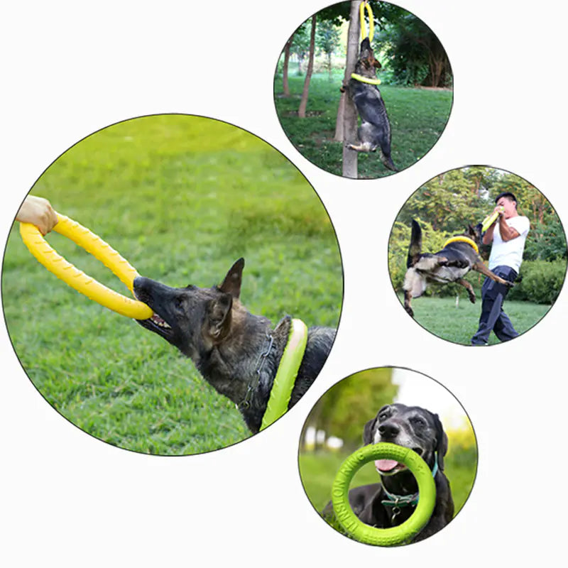 Jouet flottant interactif pour chien - Anneau d'entraînement extracteur