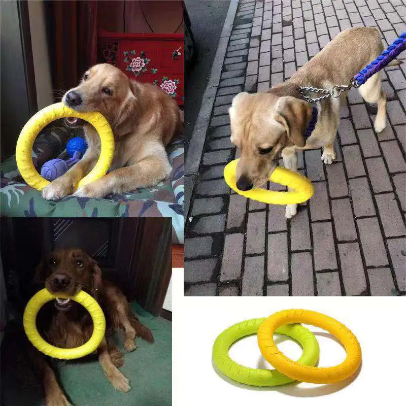Jouet flottant interactif pour chien - Anneau d'entraînement extracteur