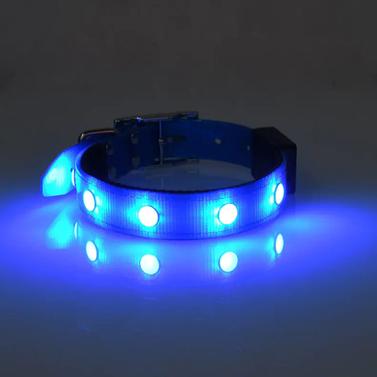 Collier lumineux et étanche réglable pour animaux de compagnie