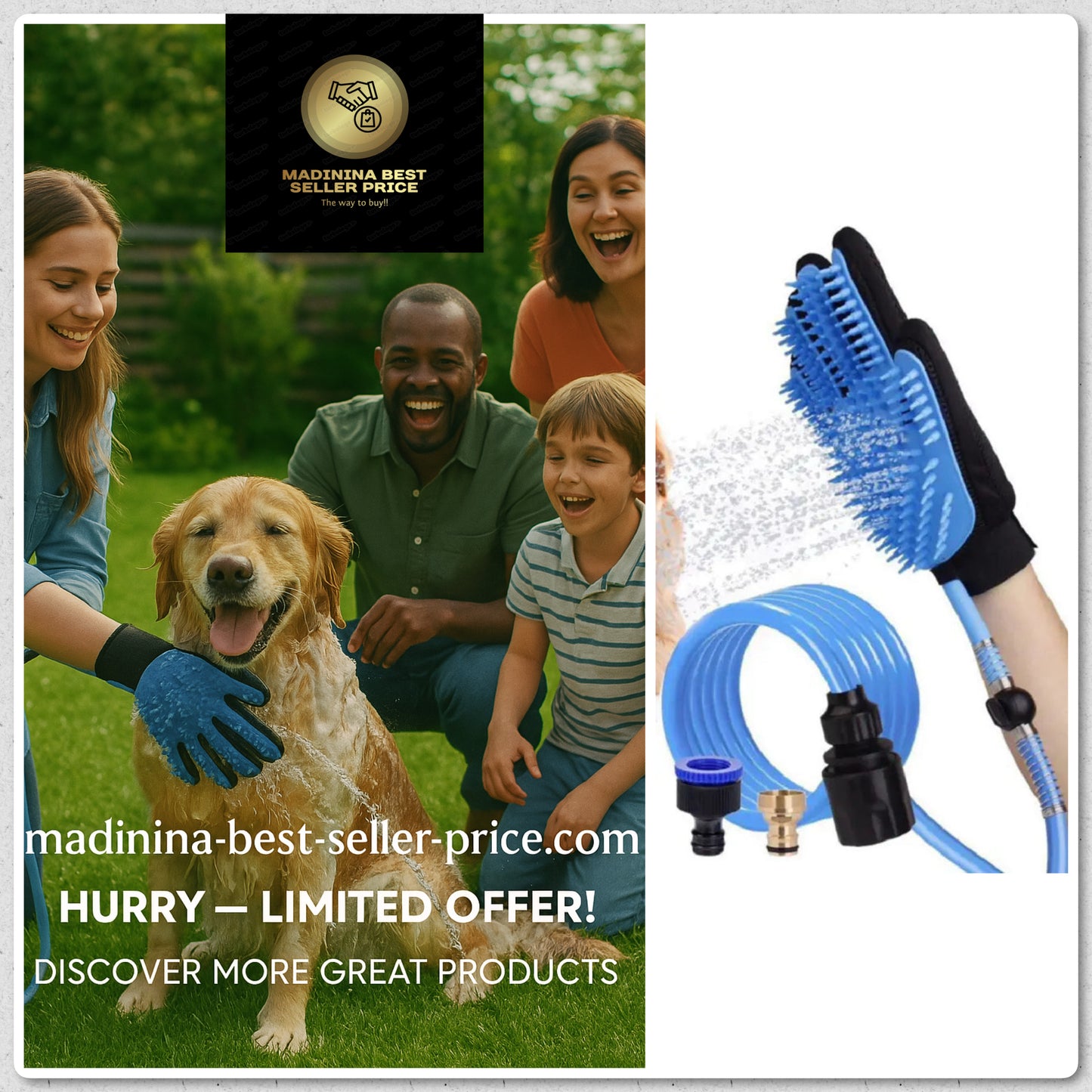 Pommeau de douche portatif pour chien et chat