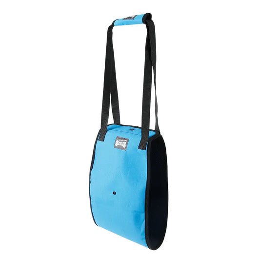 Ceinture de marche pour animaux de compagnie, protection contre les blessures aux pattes