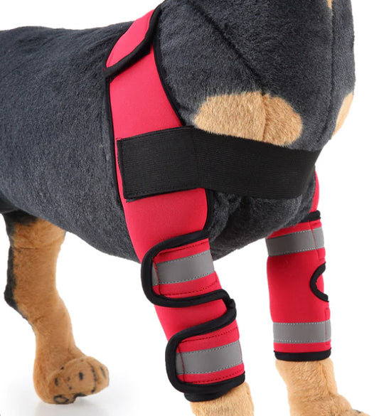 Genouillère et protège-jambes pour chien pour la récupération après une blessure