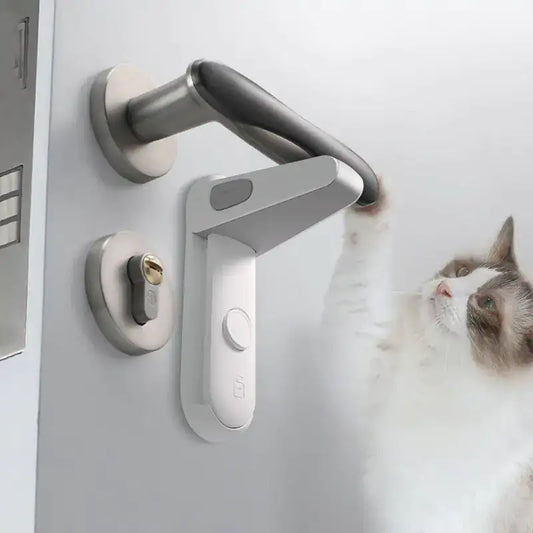 Confidentialité de Zalanta Easy Locker