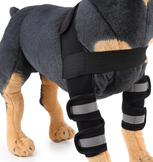Genouillère et protège-jambes pour chien pour la récupération après une blessure