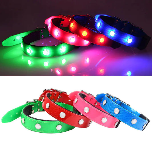 Collier lumineux et étanche réglable pour animaux de compagnie
