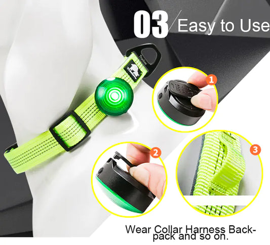 Collier lumineux LED pour chien pour la sécurité et la visibilité nocturnes
