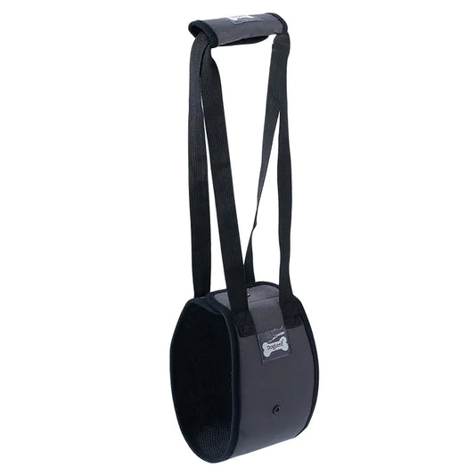 Ceinture de marche pour animaux de compagnie, protection contre les blessures aux pattes