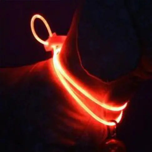 Collier pendentif lumineux pour chien
